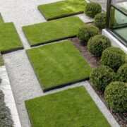 The Basics of Landscape Design for Beginners: Creating Your Outdoor Oasis